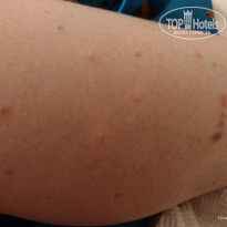 фото из отзыва ID 2238481