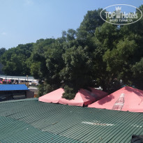 фото из отзыва ID 2236934