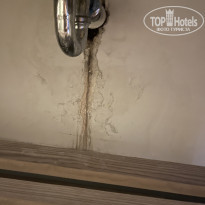 фото из отзыва ID 2238570