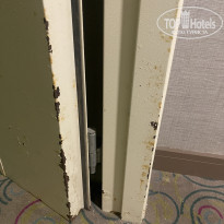 фото из отзыва ID 2238570