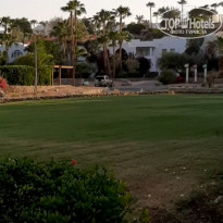 фото из отзыва ID 2238646