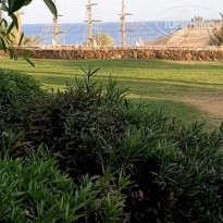 фото из отзыва ID 2238646