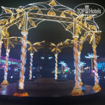 фото из отзыва ID 2238612