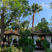 фото из отзыва ID 2238744