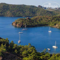 фото из отзыва ID 2238746