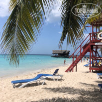 фото из отзыва ID 2238729