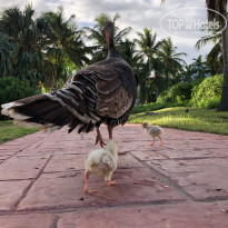 фото из отзыва ID 2238729