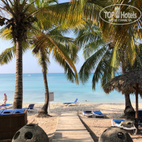 фото из отзыва ID 2238729