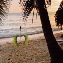 фото из отзыва ID 2238729