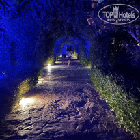 фото из отзыва ID 2238767