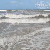 фото из отзыва ID 2238849