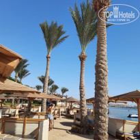 фото из отзыва ID 2238901