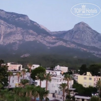 фото из отзыва ID 2238951