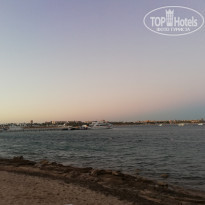 фото из отзыва ID 2238932