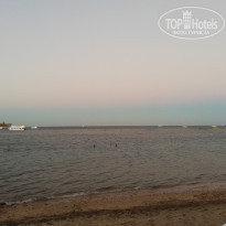 фото из отзыва ID 2238932