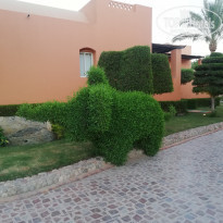 фото из отзыва ID 2238932