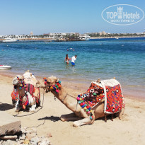 фото из отзыва ID 2238932