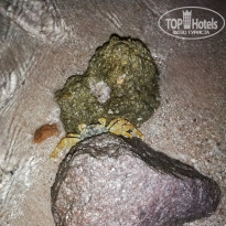 фото из отзыва ID 2238932