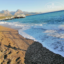 фото из отзыва ID 2239010