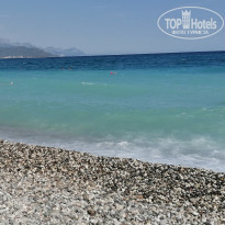 фото из отзыва ID 2239088