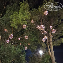 фото из отзыва ID 2239088