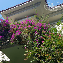 фото из отзыва ID 2239089