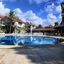 фото из отзыва ID 2239142