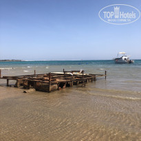 фото из отзыва ID 2239192