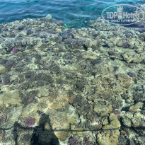 фото из отзыва ID 2239198