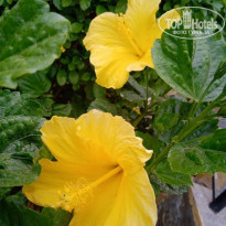 фото из отзыва ID 2239226