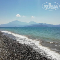 фото из отзыва ID 2238969