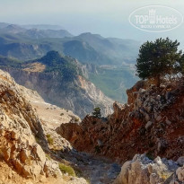 фото из отзыва ID 2238969