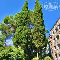 фото из отзыва ID 2239532