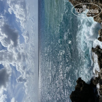 фото из отзыва ID 2239604