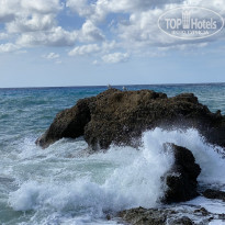 фото из отзыва ID 2239604