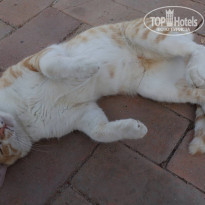 фото из отзыва ID 2239645