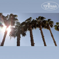 фото из отзыва ID 2239695