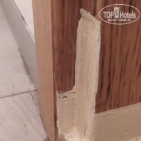 фото из отзыва ID 2239699