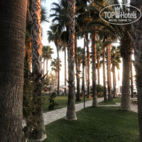 фото из отзыва ID 2239612