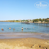 фото из отзыва ID 2239747