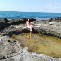 фото из отзыва ID 2239747