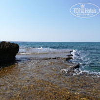 фото из отзыва ID 2239747