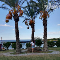 фото из отзыва ID 2239747