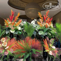 фото из отзыва ID 2239856