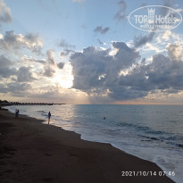 фото из отзыва ID 2239571