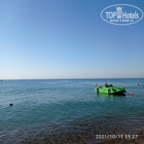 фото из отзыва ID 2239571