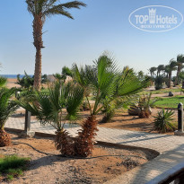 фото из отзыва ID 2239656