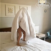 фото из отзыва ID 2238208