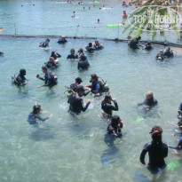 фото из отзыва ID 224020