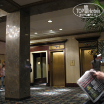 фото из отзыва ID 224371